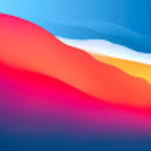 Meet your Posher, Abigail